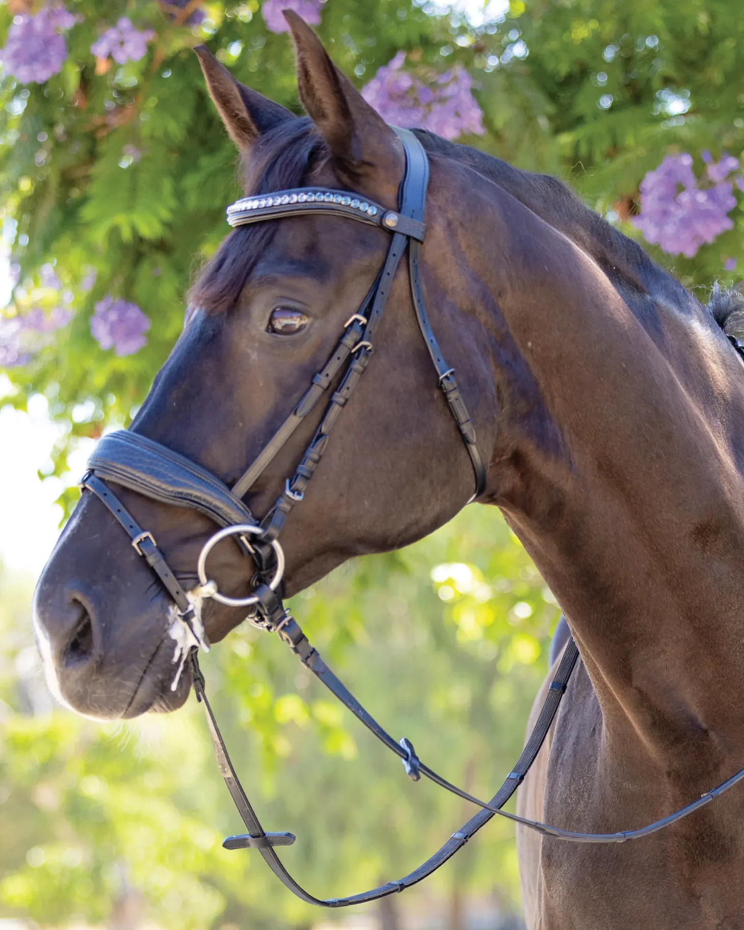 Halter Ego® Doc Marten Snaffle Bridle