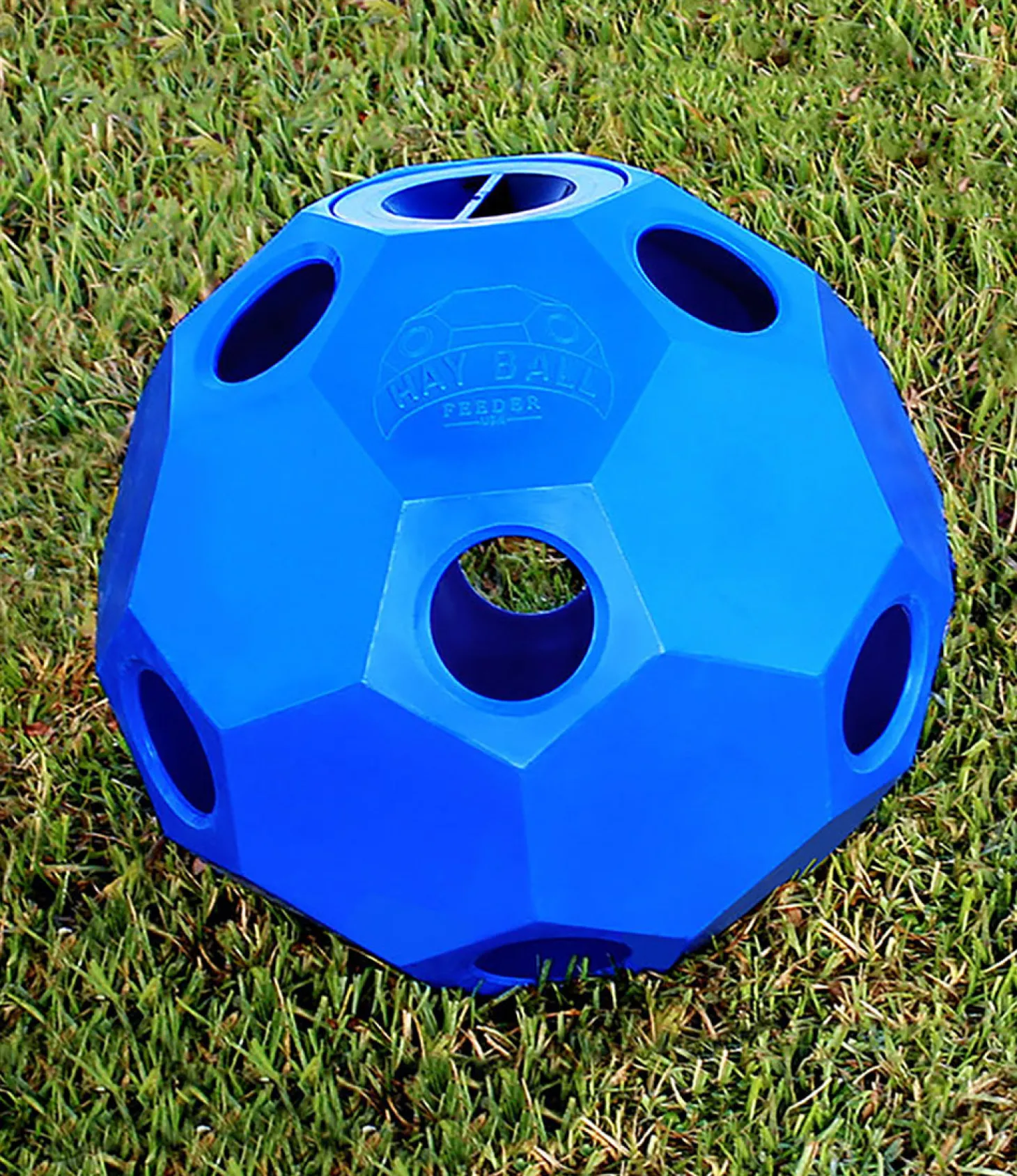 Hay Ball Feeder