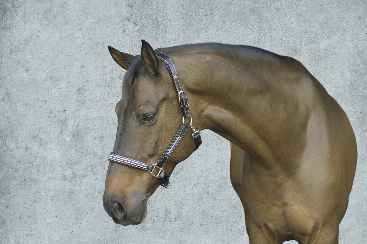 HDR Padded Jewel Halter