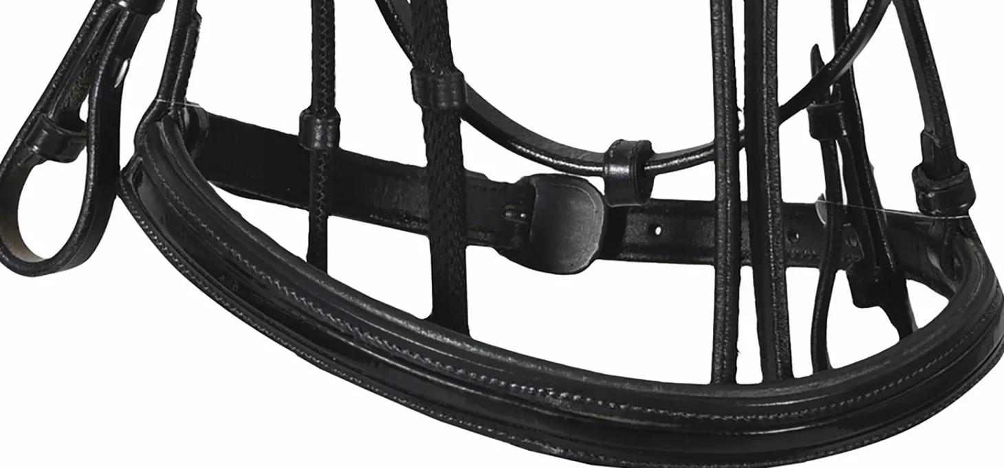 Henri de Rivel Piaffe Mono Crown Bridle with Flash Noseband & Patent Leather