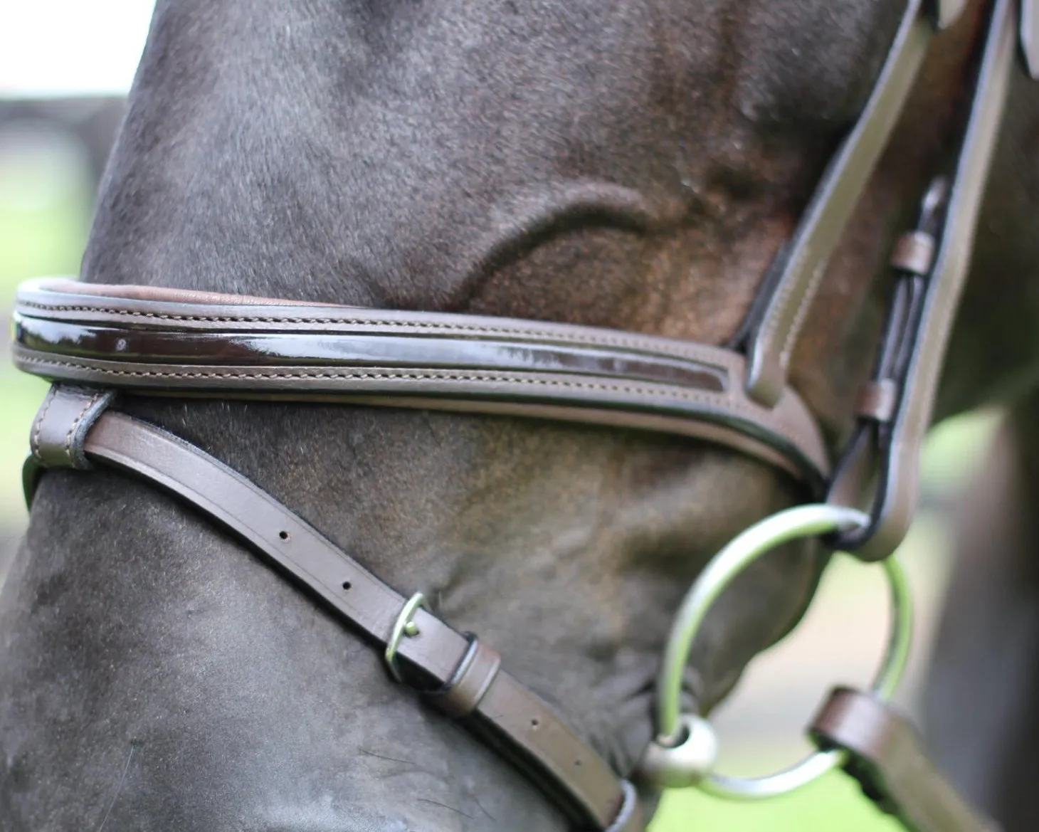 Henri de Rivel Piaffe Mono Crown Bridle with Flash Noseband & Patent Leather