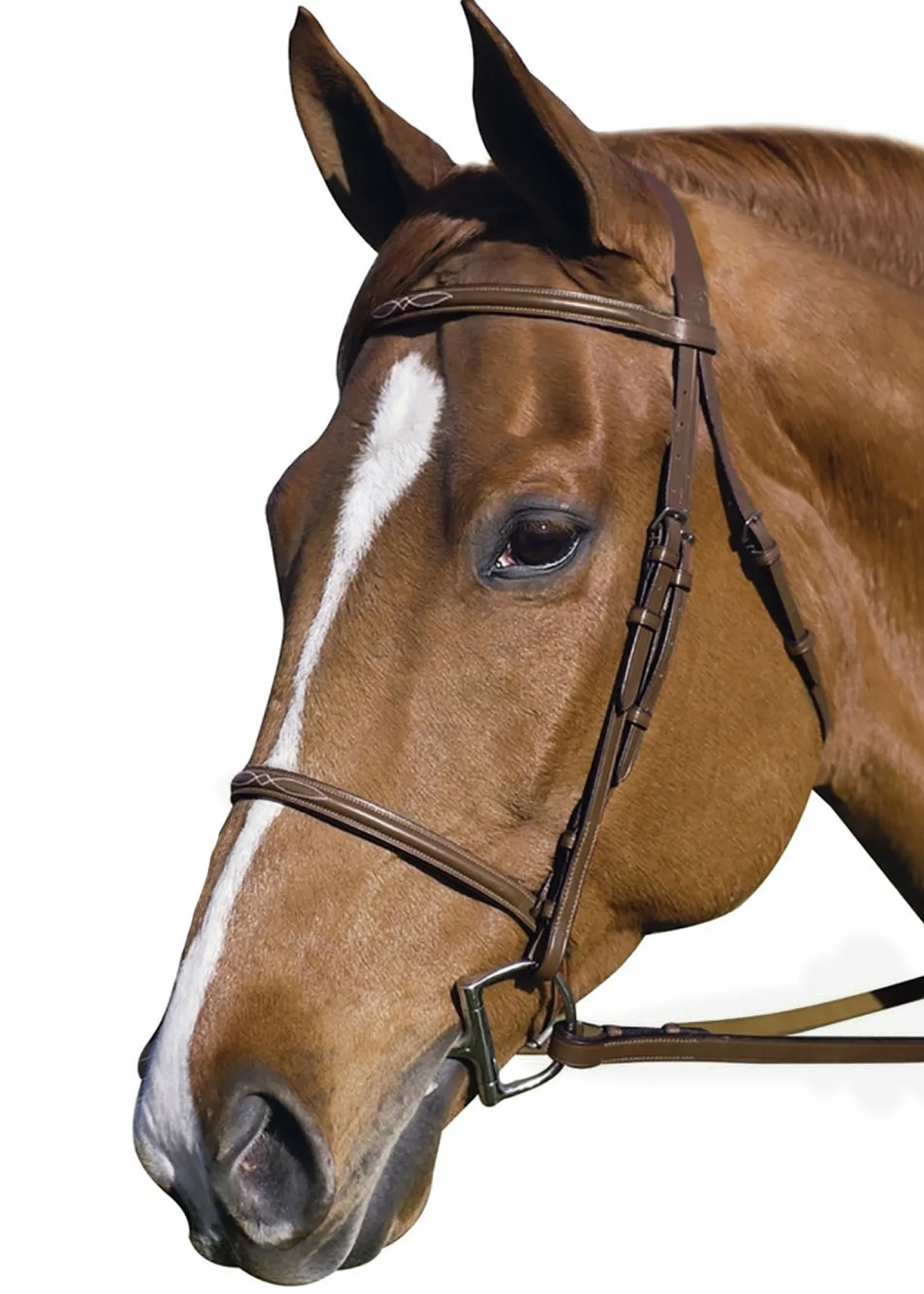 Henri de Rivel Pro Fancy Raised Bridle with Laced Reins