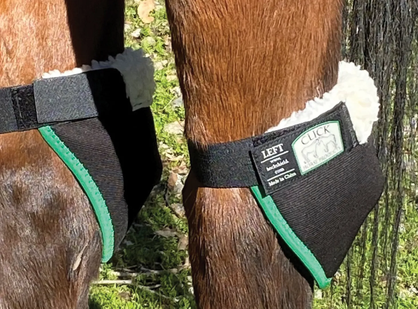Hock Shield