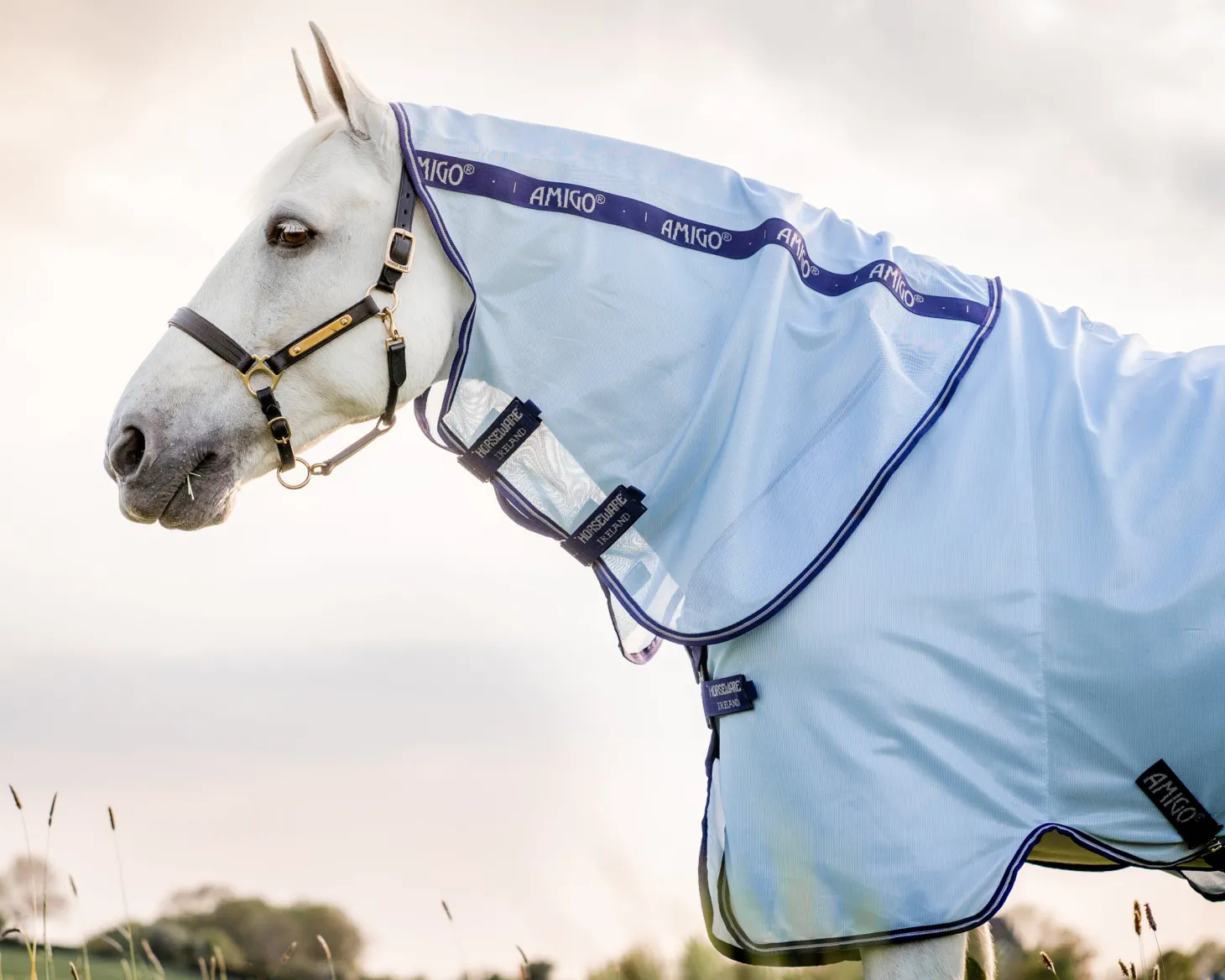 Horseware® Amigo® XL Bug Rug