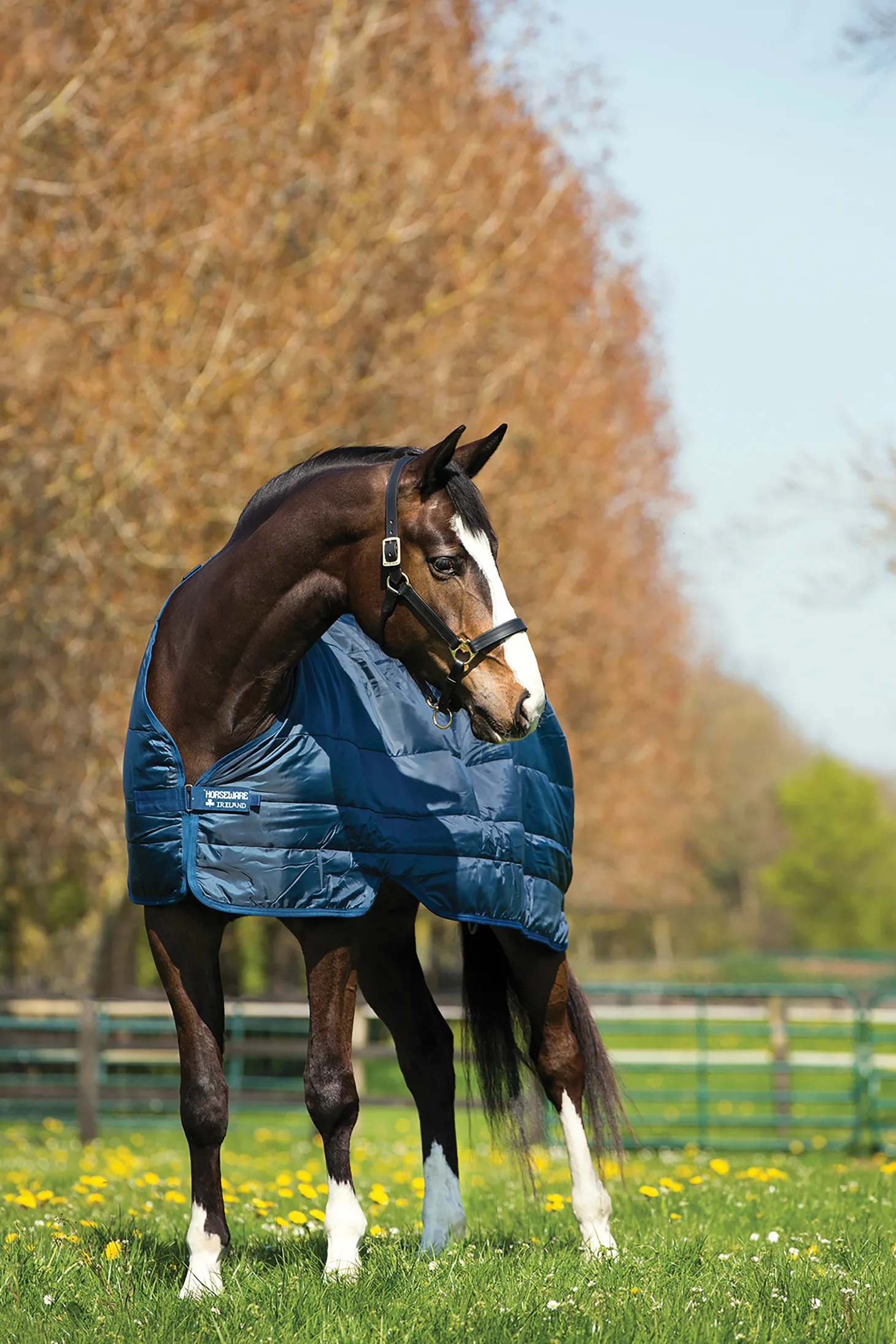 Horseware® Ireland 200 Gram Blanket Liner