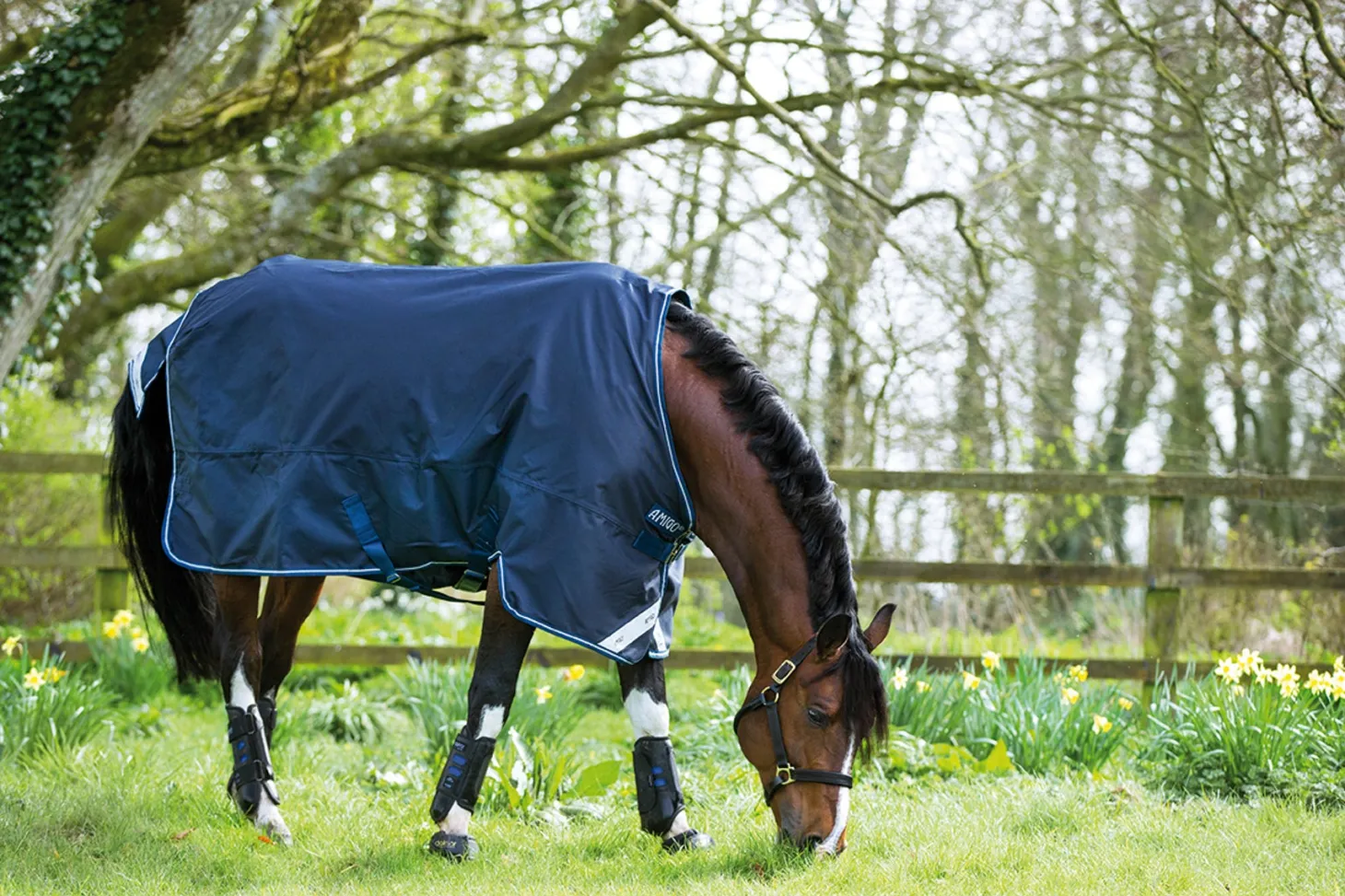 Horseware® Ireland Amigo® Bravo 12 Heavyweight Turnout Blanket
