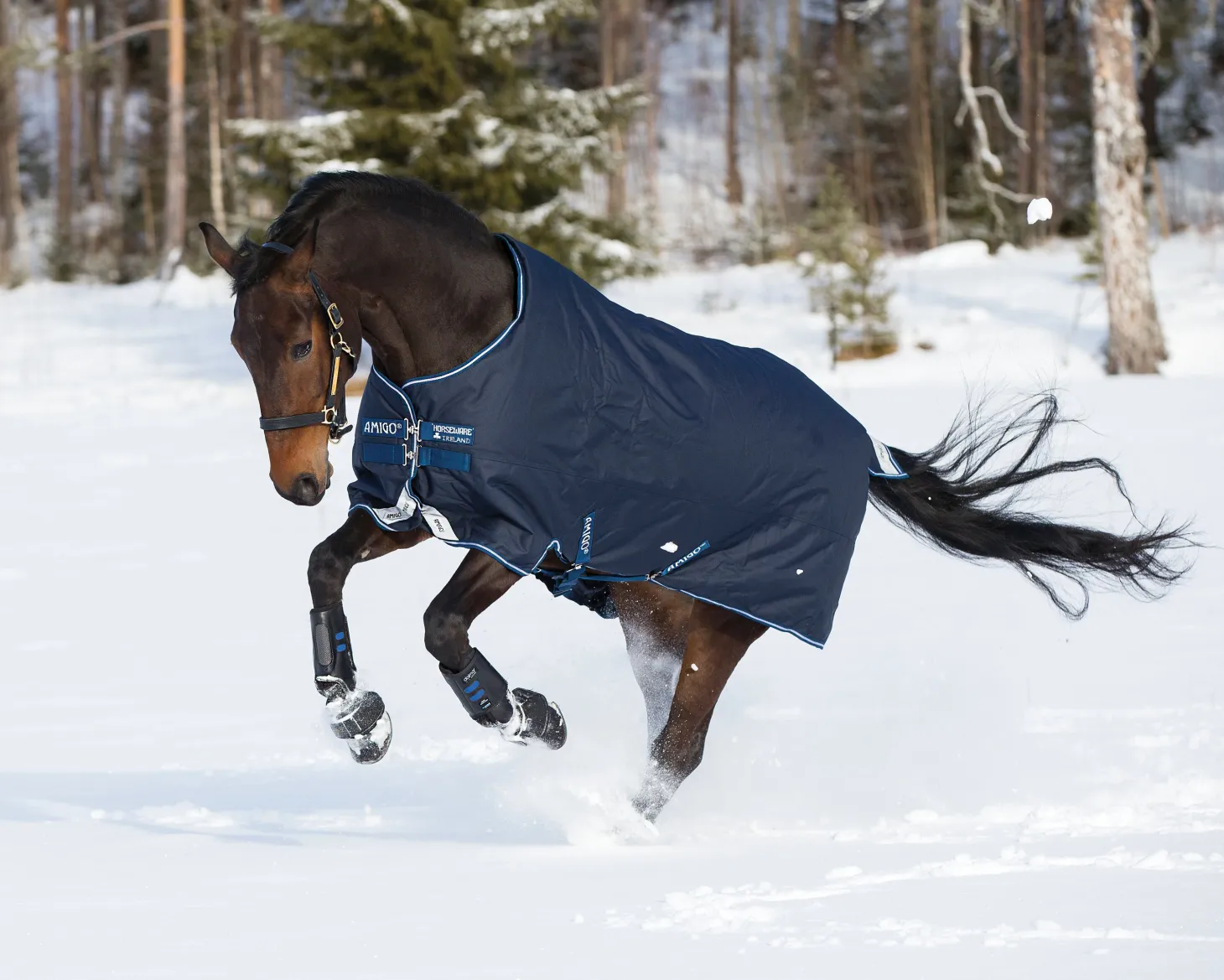 Horseware® Ireland Amigo® Bravo 12 Heavyweight Turnout Blanket