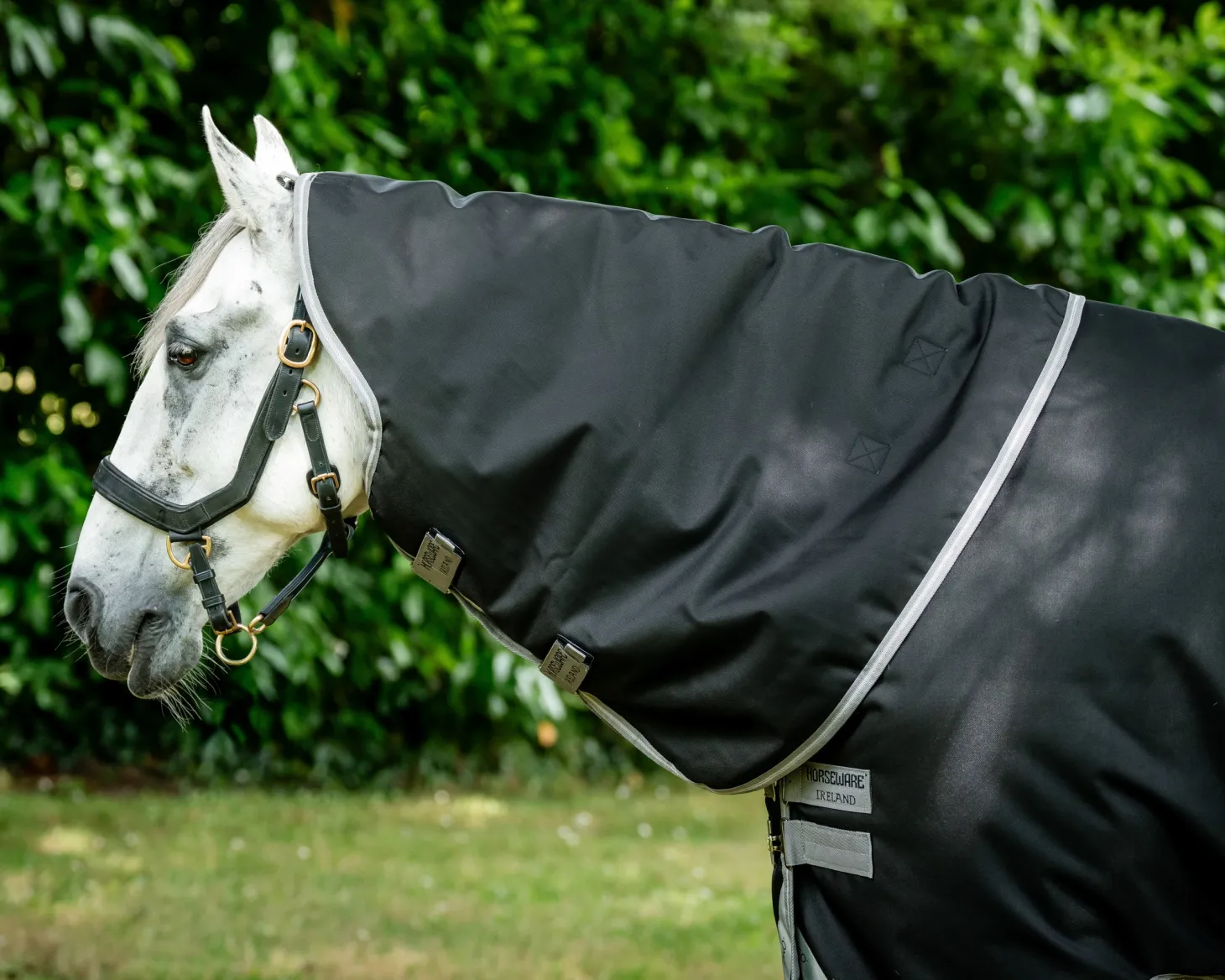 Horseware® Ireland Amigo® 1200D Plus Turnout