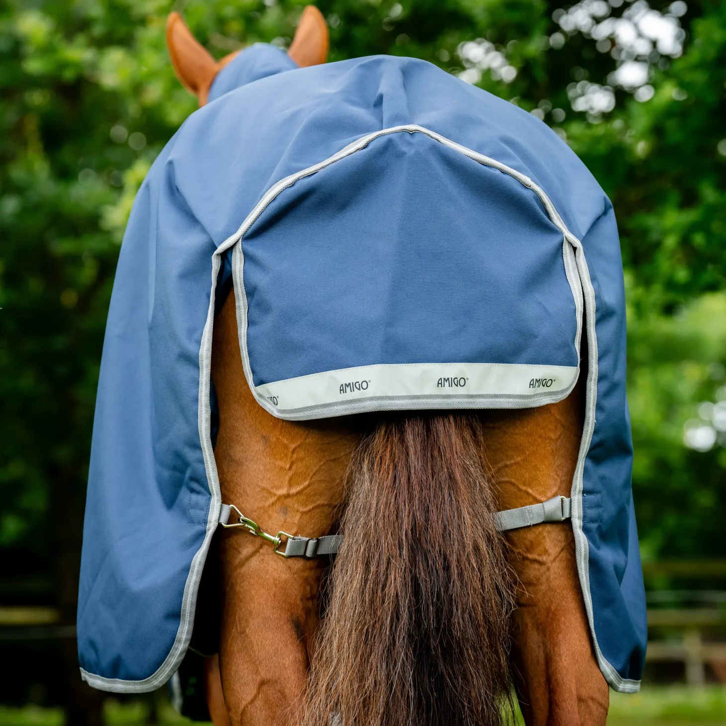 Horseware® Ireland Amigo® 1200D Turnout Sheet Standard Neck
