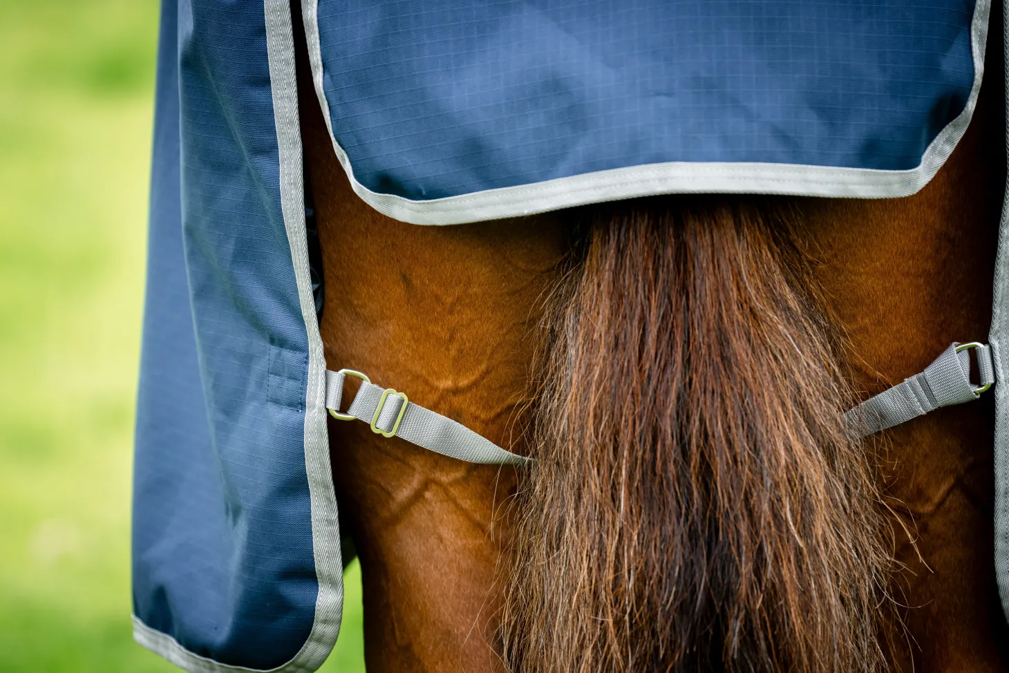 Horseware® Ireland Amigo® 900D Ripstop 0 Gram Turnout Sheet