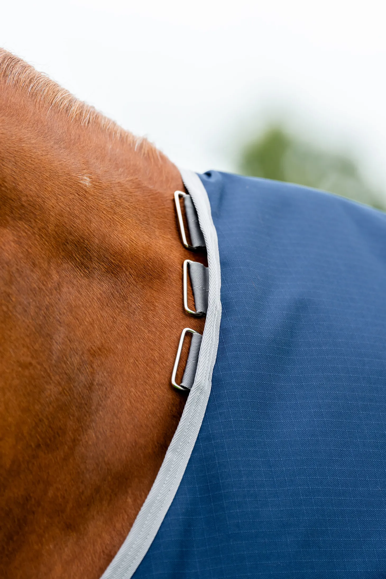 Horseware® Ireland Amigo® 900D Ripstop 0 Gram Turnout Sheet