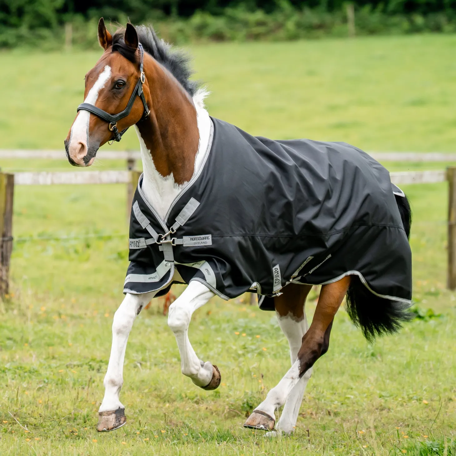 Horseware® Ireland Amigo® 1200D Plus Turnout 250 Gram