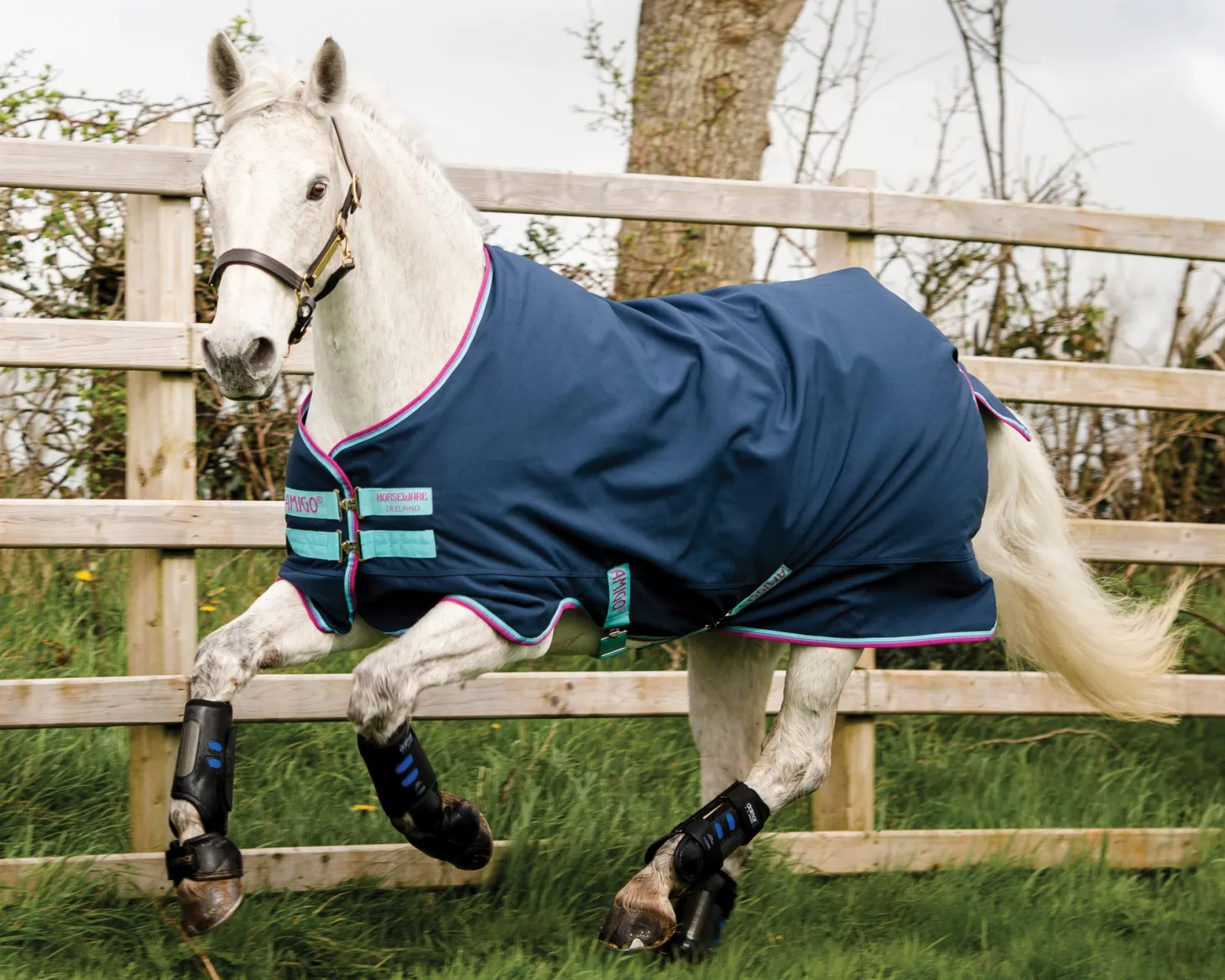 Horseware® Ireland Amigo® Pony Hero 900D Medium-Weight Turnout Blanket