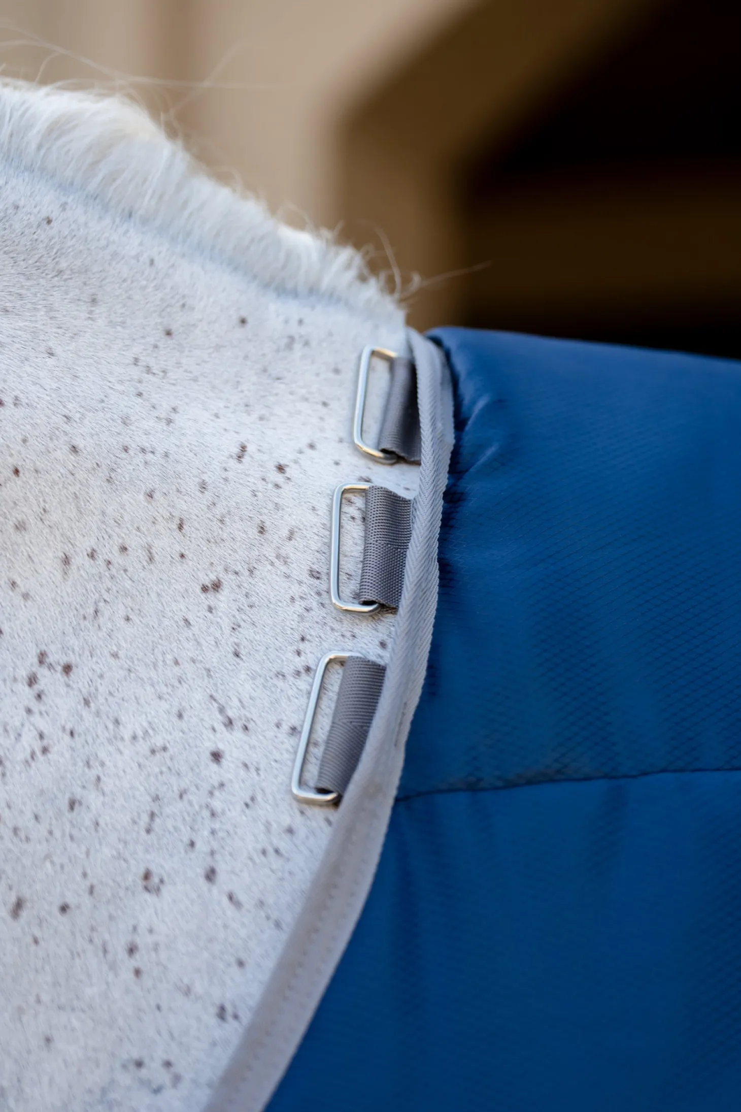 Horseware® Ireland Amigo® Ripstop Insulator Stable Blanket - 350G