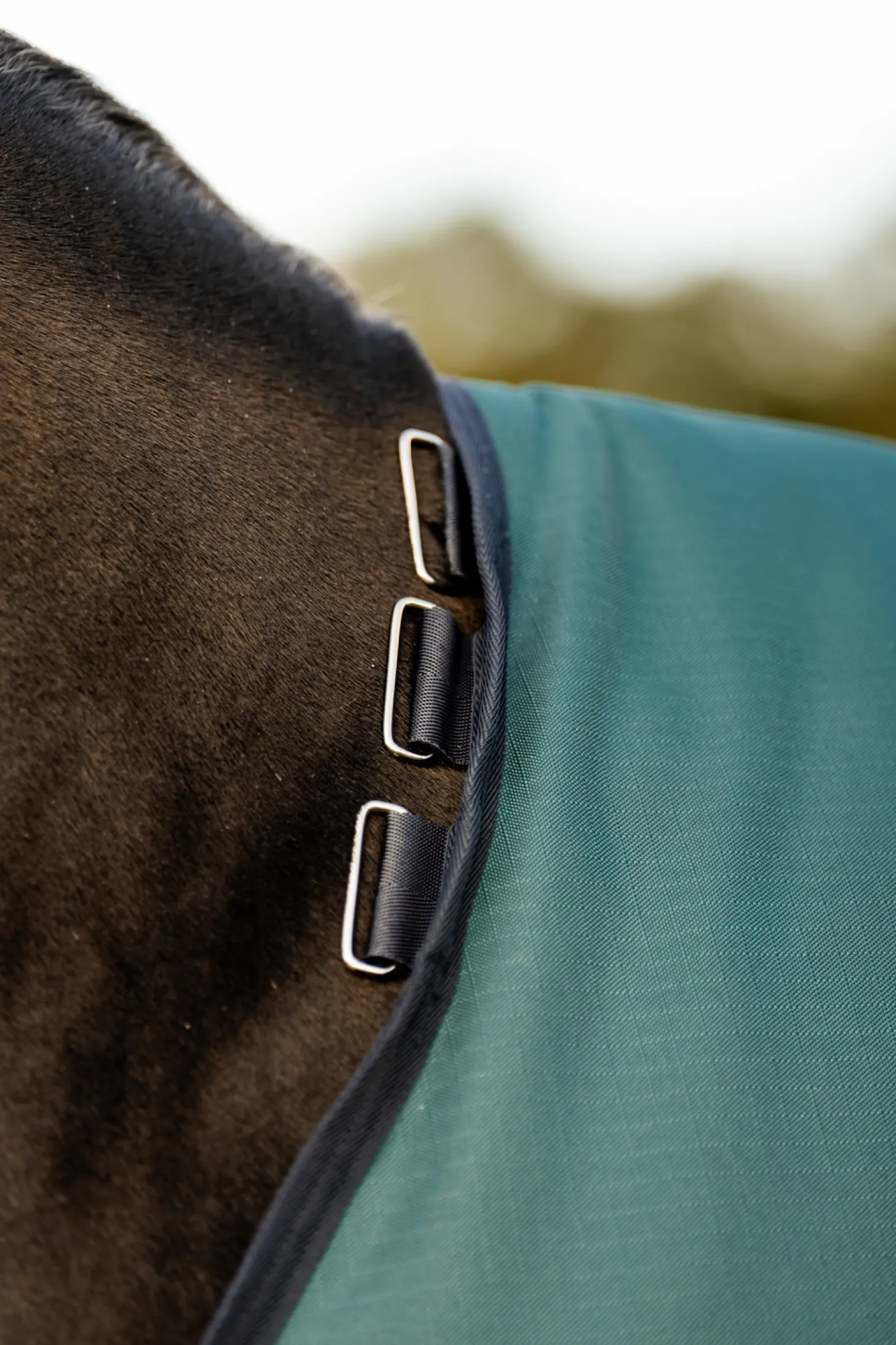 Horseware® Ireland Amigo® Ripstop 900D 200 Gram Standard Neck Turnout–Seasonal Color