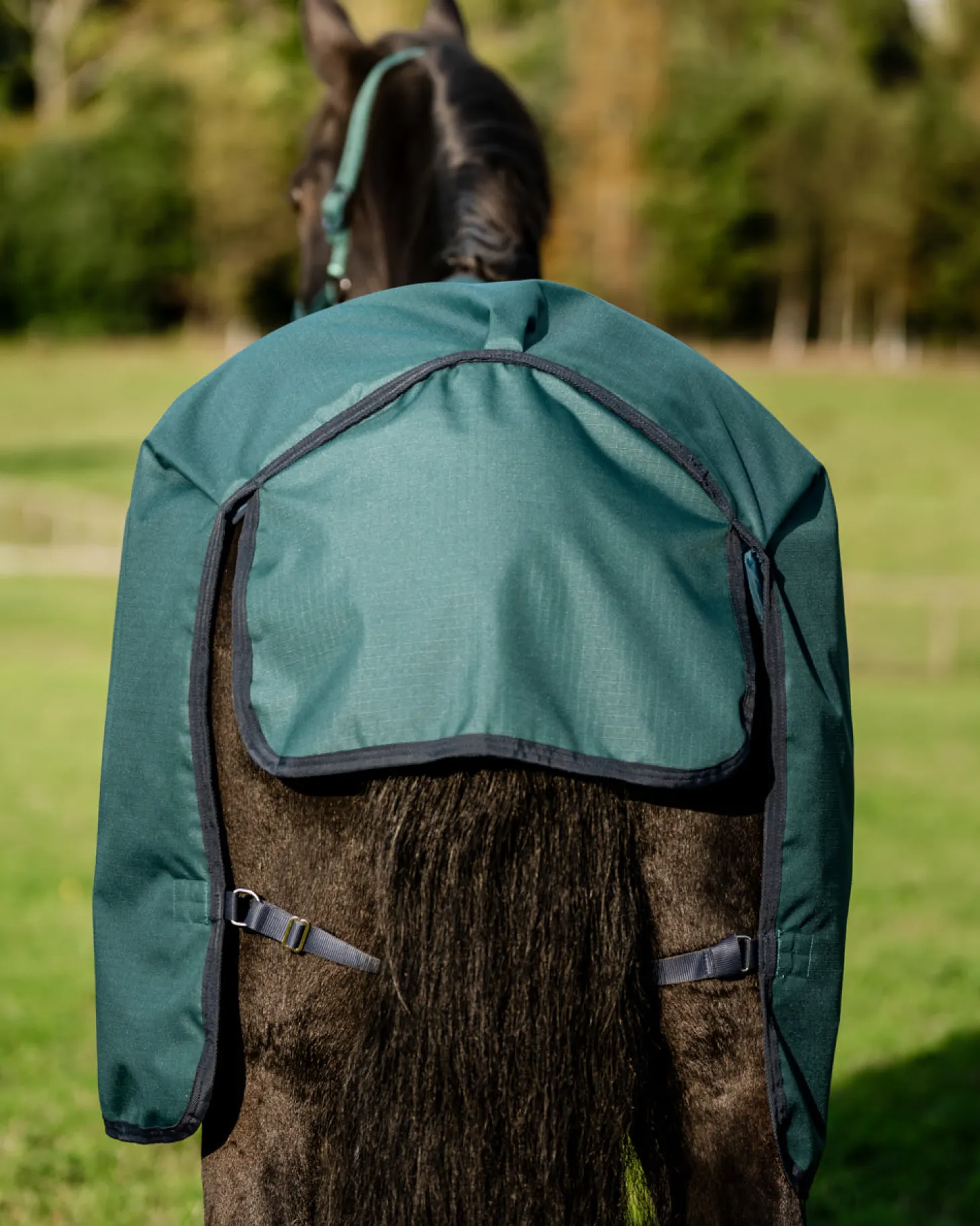 Horseware® Ireland Amigo® Ripstop 900D 200 Gram Standard Neck Turnout–Seasonal Color