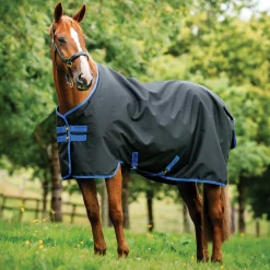 Horseware® Ireland Amigo® Ripstop 900D 50 Gram Standard Neck Turnout