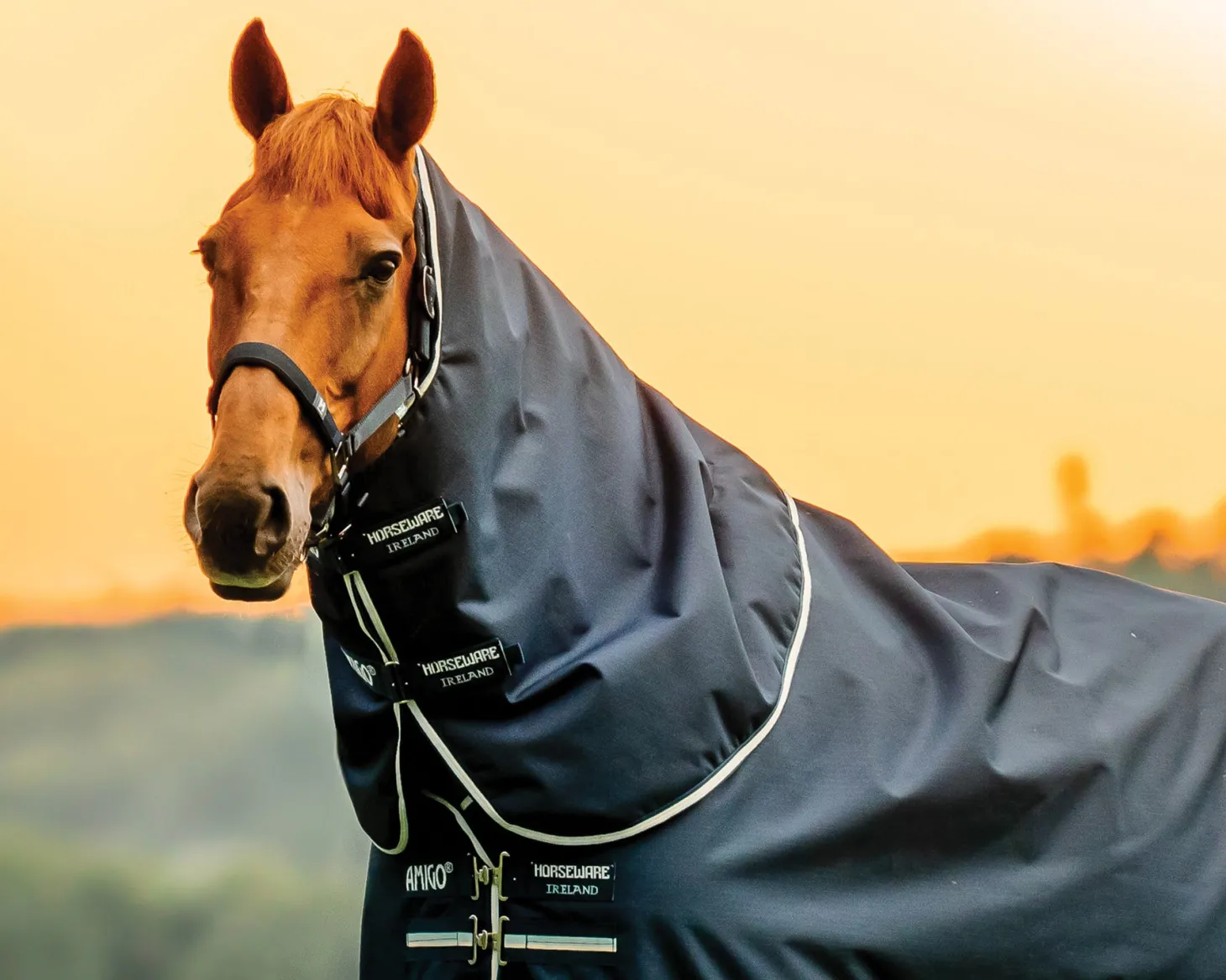 Horseware® Ireland Amigo® Ripstop 900D 200 Grams Plus Turnout