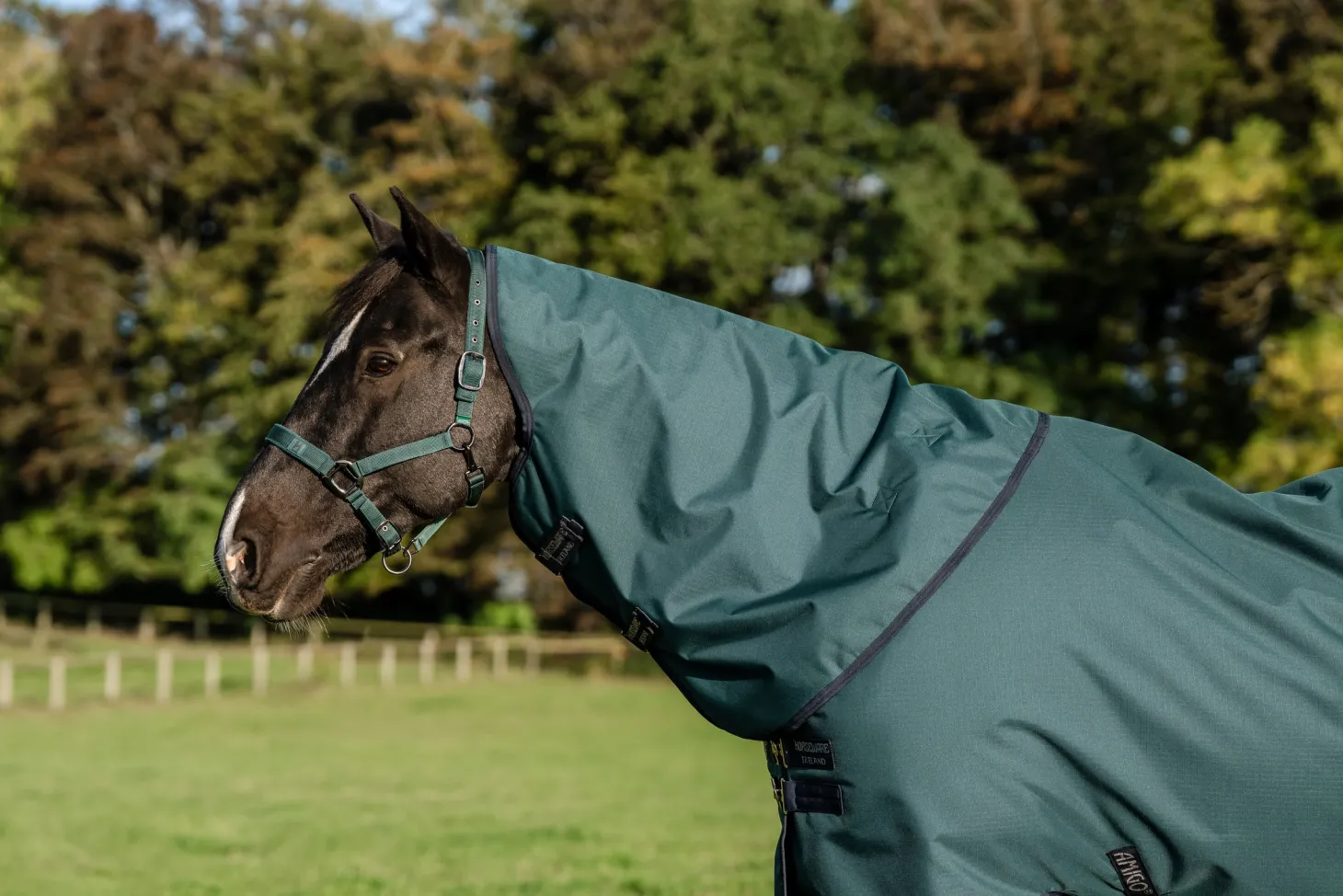 Horseware® Ireland Amigo® Ripstop 900D 100 Gram Plus Pony Turnout