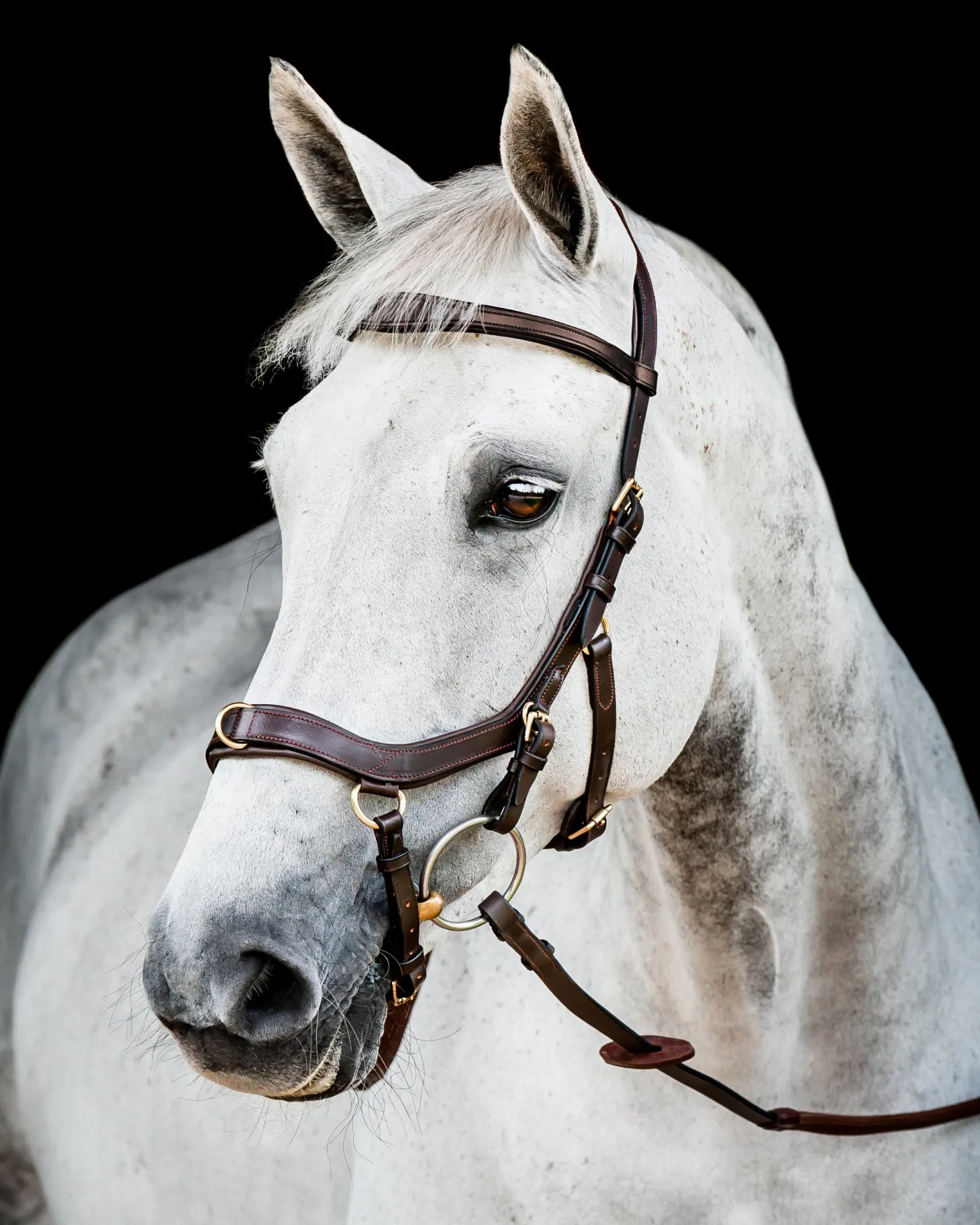 Horseware® Ireland Micklem2 Multibridle USA with Reins