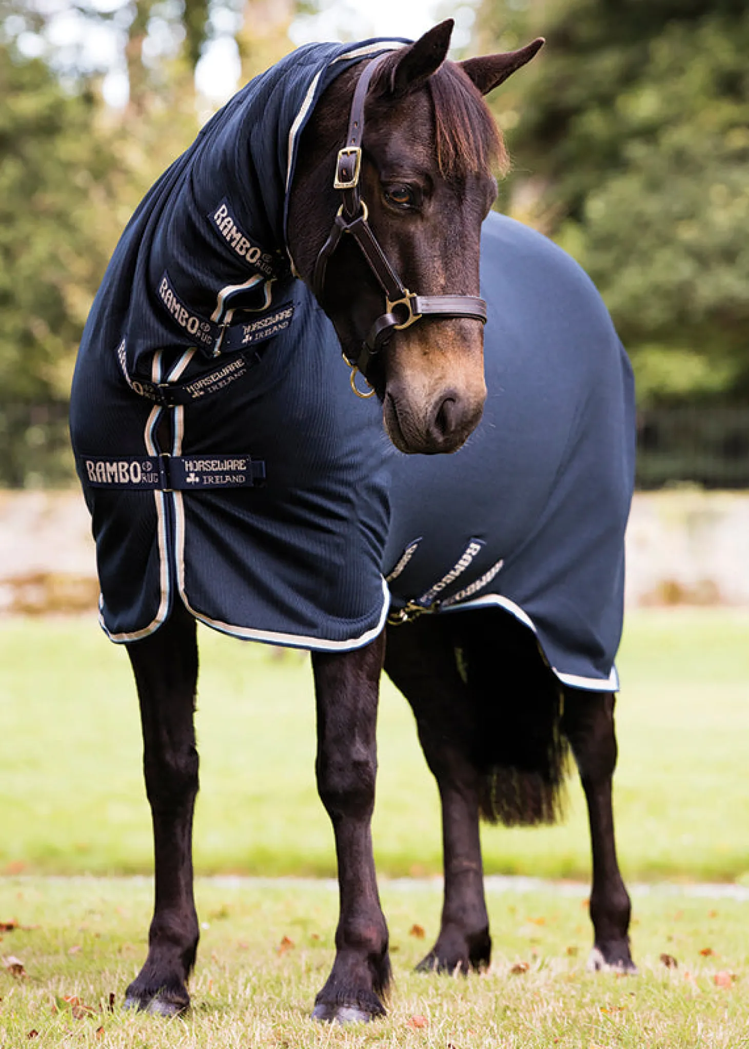 Horseware® Ireland Rambo® Dustbuster