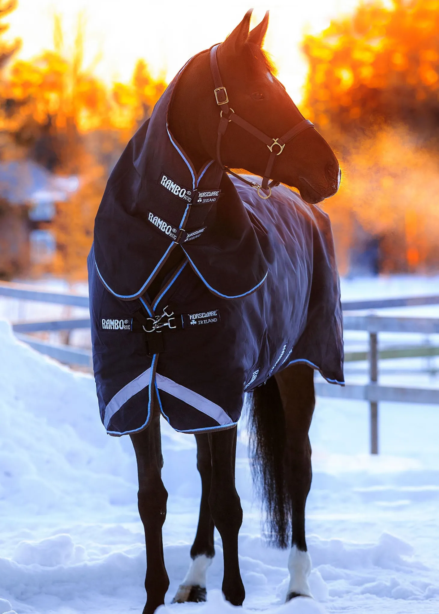 Horseware® Ireland Rambo® Duo