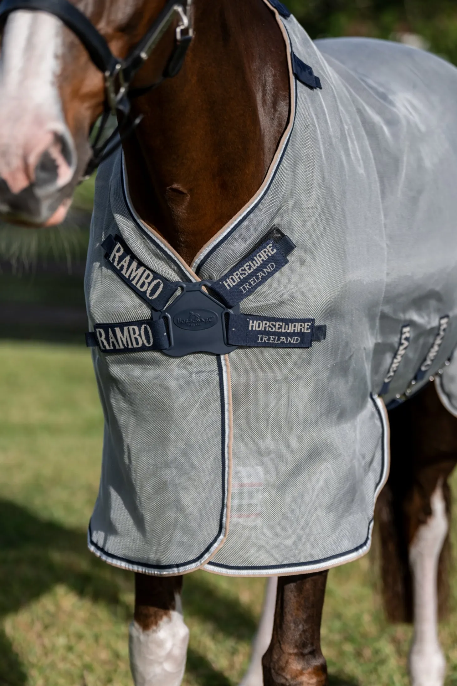 Horseware® Ireland Rambo® Protector Fieldsafe Plus