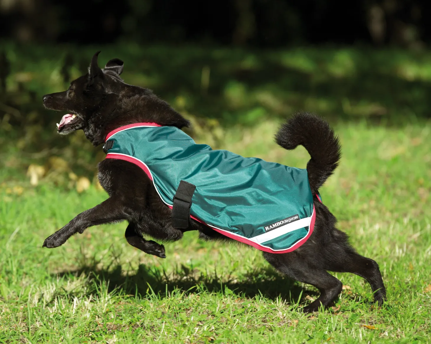 Horseware® Ireland Rambo® Waterproof Dog Blanket