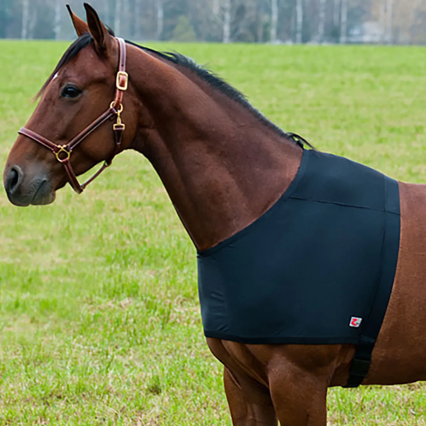 Horze Comforce Blanket Shoulder Guard