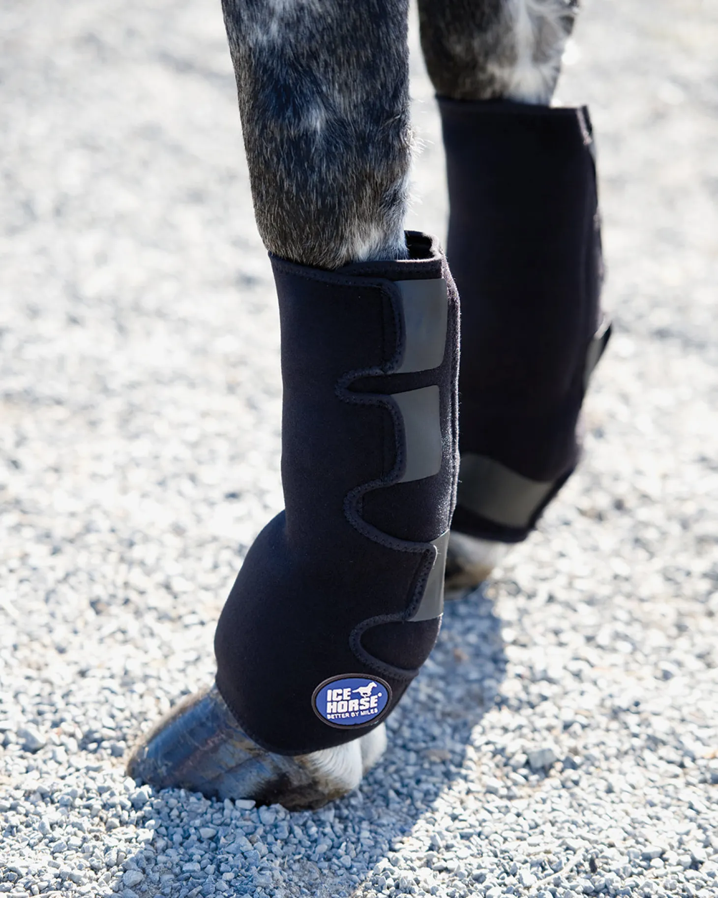 Ice Horse® Pony Suspensory Wrap - Pair