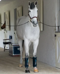 ICE-VIBE Boots