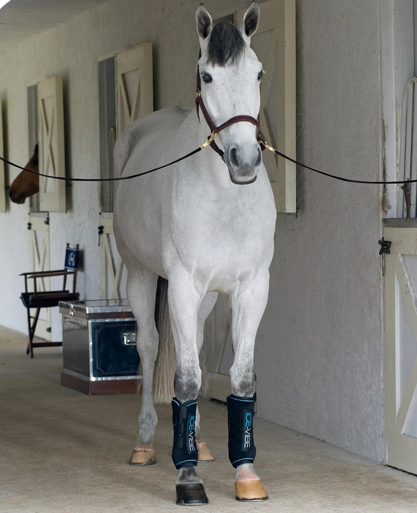 ICE-VIBE Boots