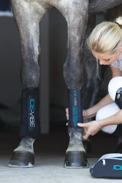 ICE-VIBE Boots