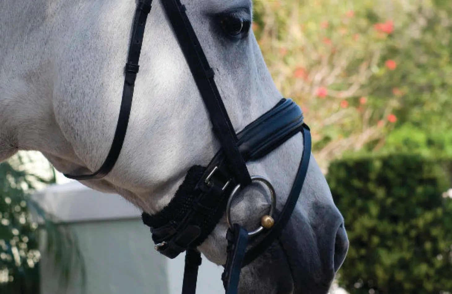Kathy Connelly Chin Pad