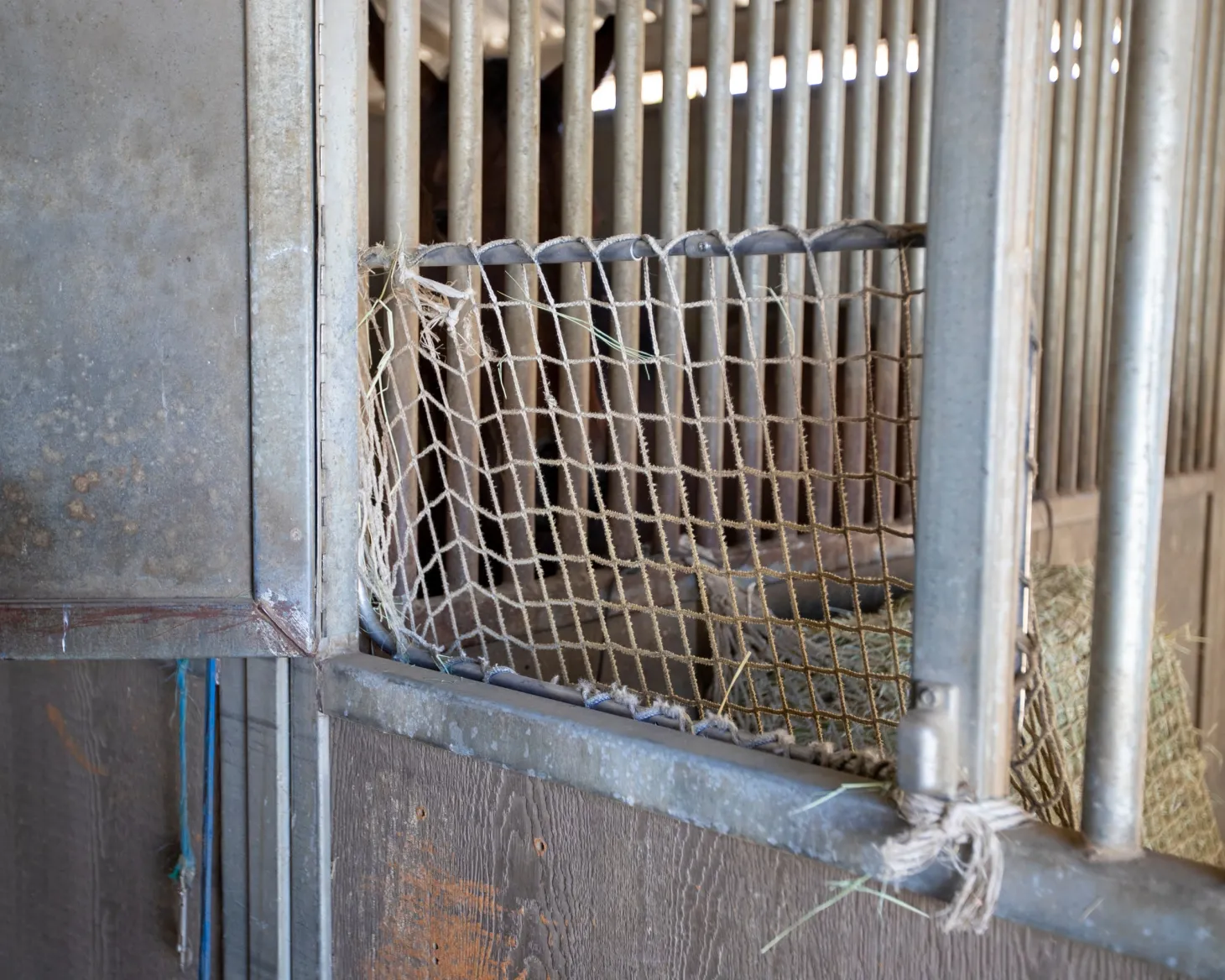 Kensington™ Freedom Feeder Adjustable Frame