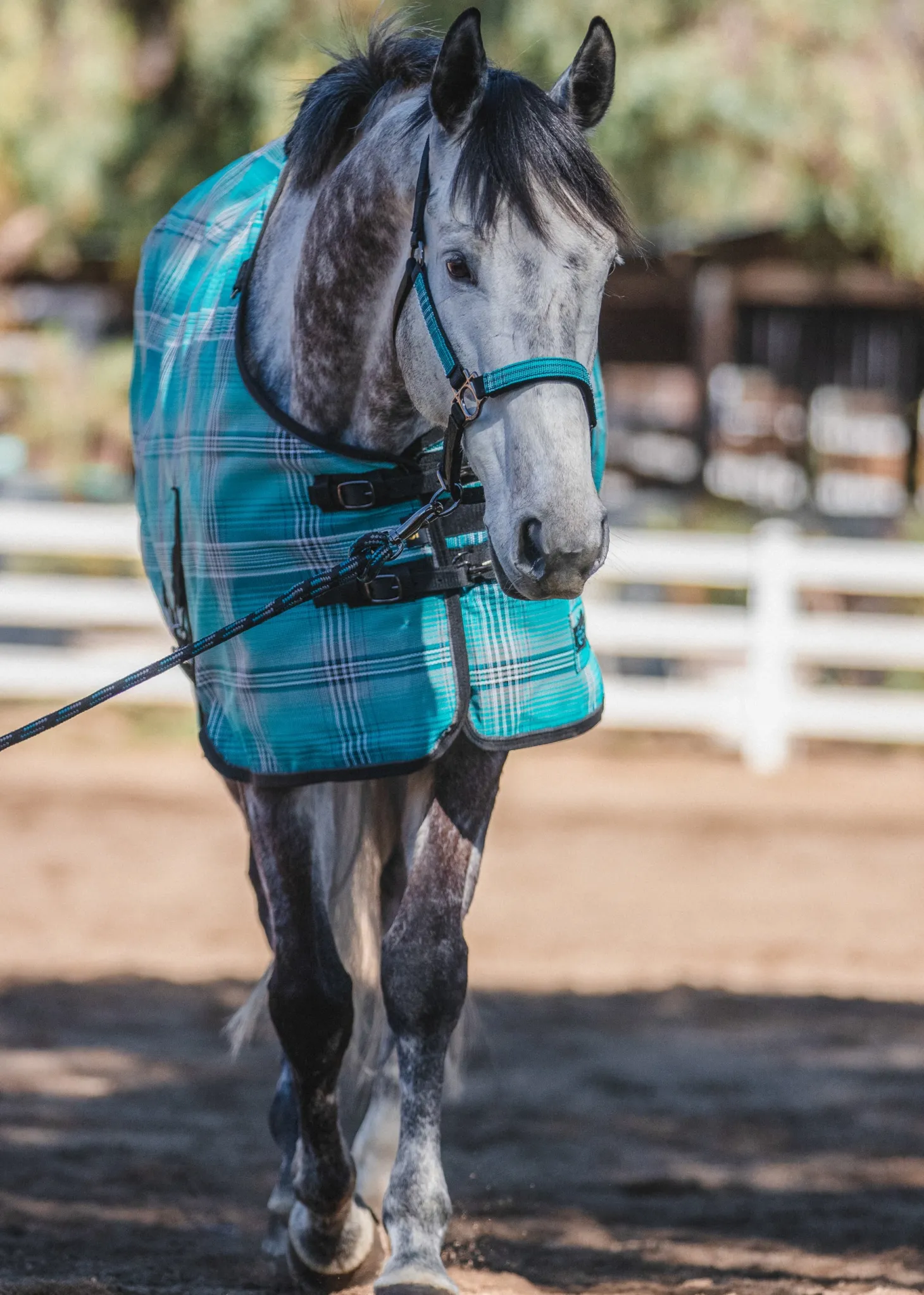 Kensington™ Pony Protective Sheet SureFit®