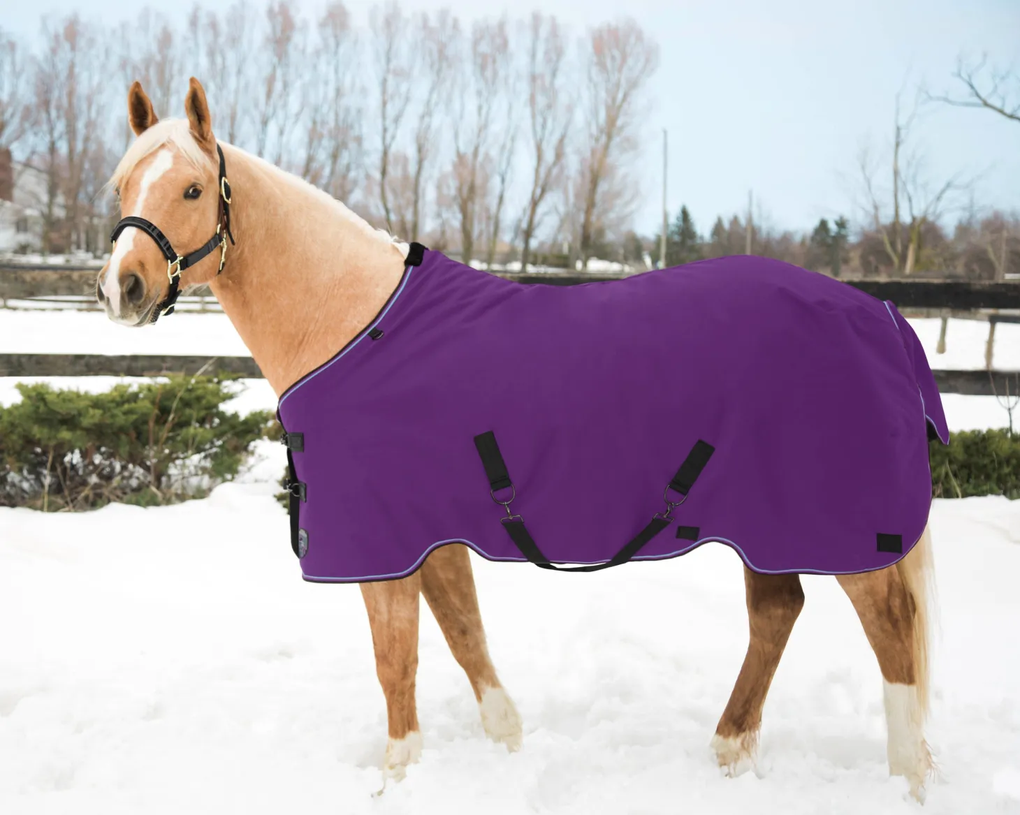 Kensington™ Pony Signature Medium Weight Turnout Blanket