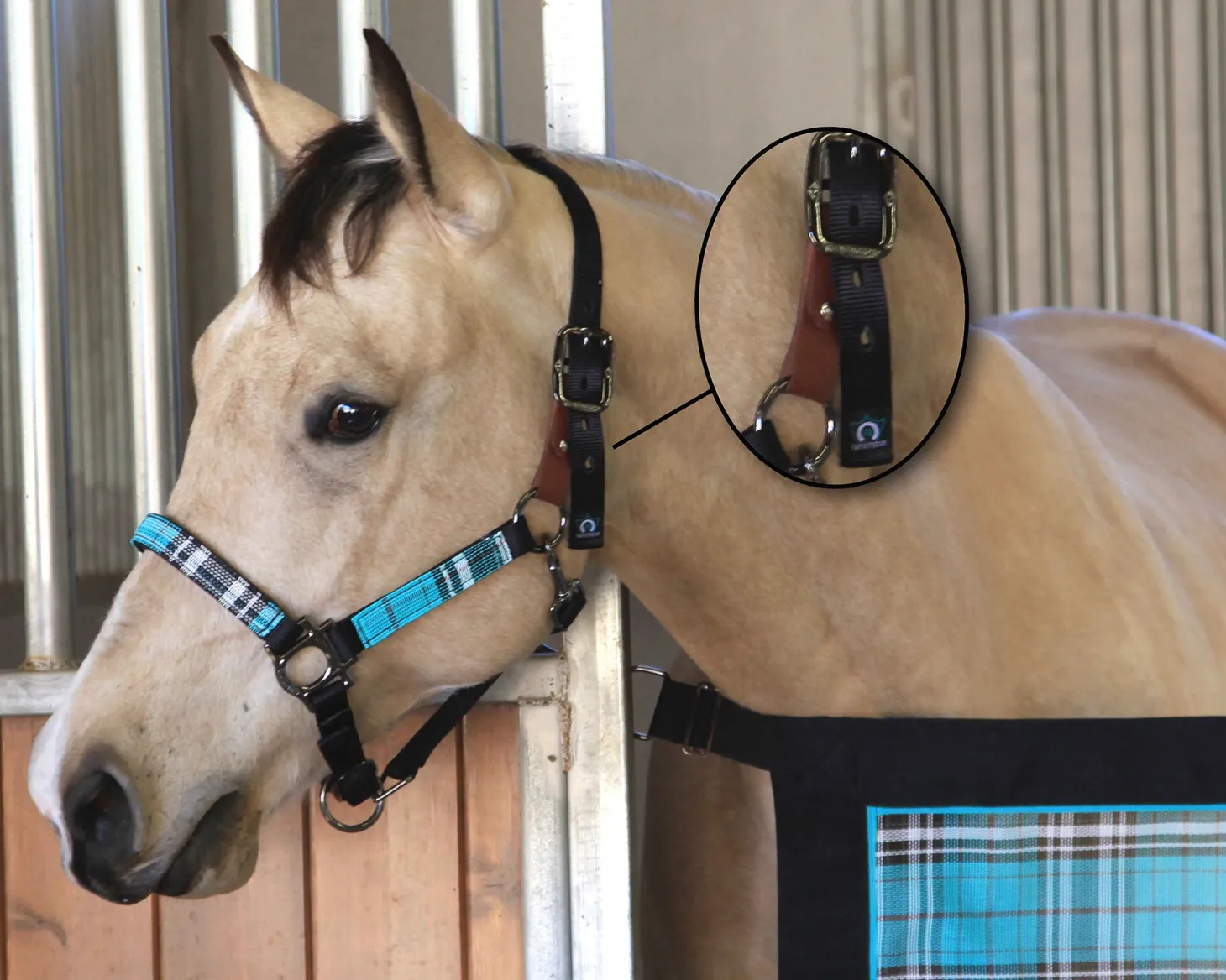 Kensington™ Premium Breakaway Halter