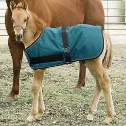 Kensington™ Signature Adjustable Large Foal Turnout