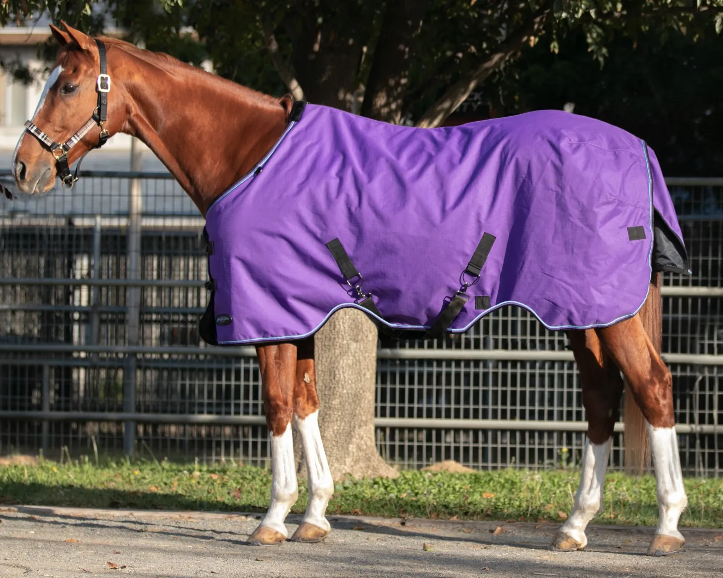 Kensington™ Signature Lightweight Turnout Blanket