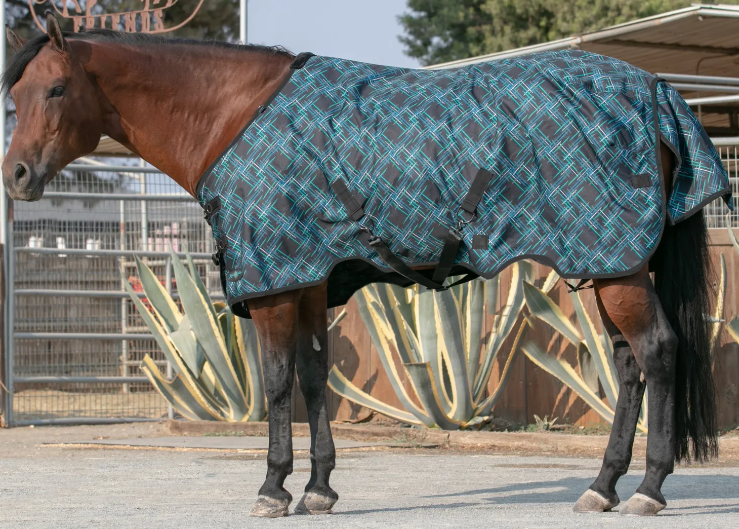 Kensington™ Signature Lightweight Turnout Blanket