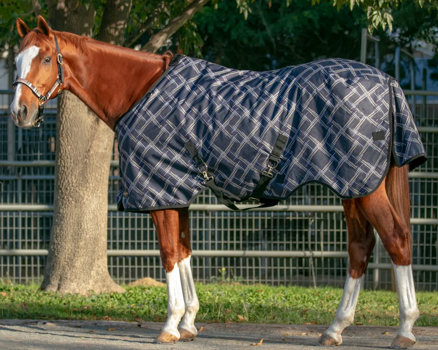 Kensington™ Signature Lightweight Turnout Blanket