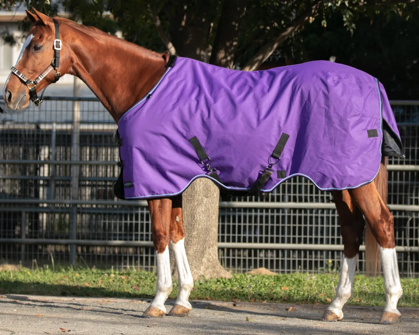 Kensington™ Signature Medium-Weight Turnout Blanket