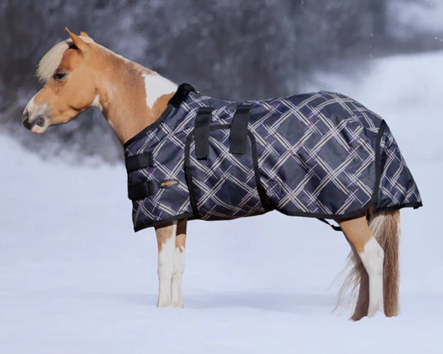 Kensington™ Signature Mini Medium-Weight Turnout Blanket