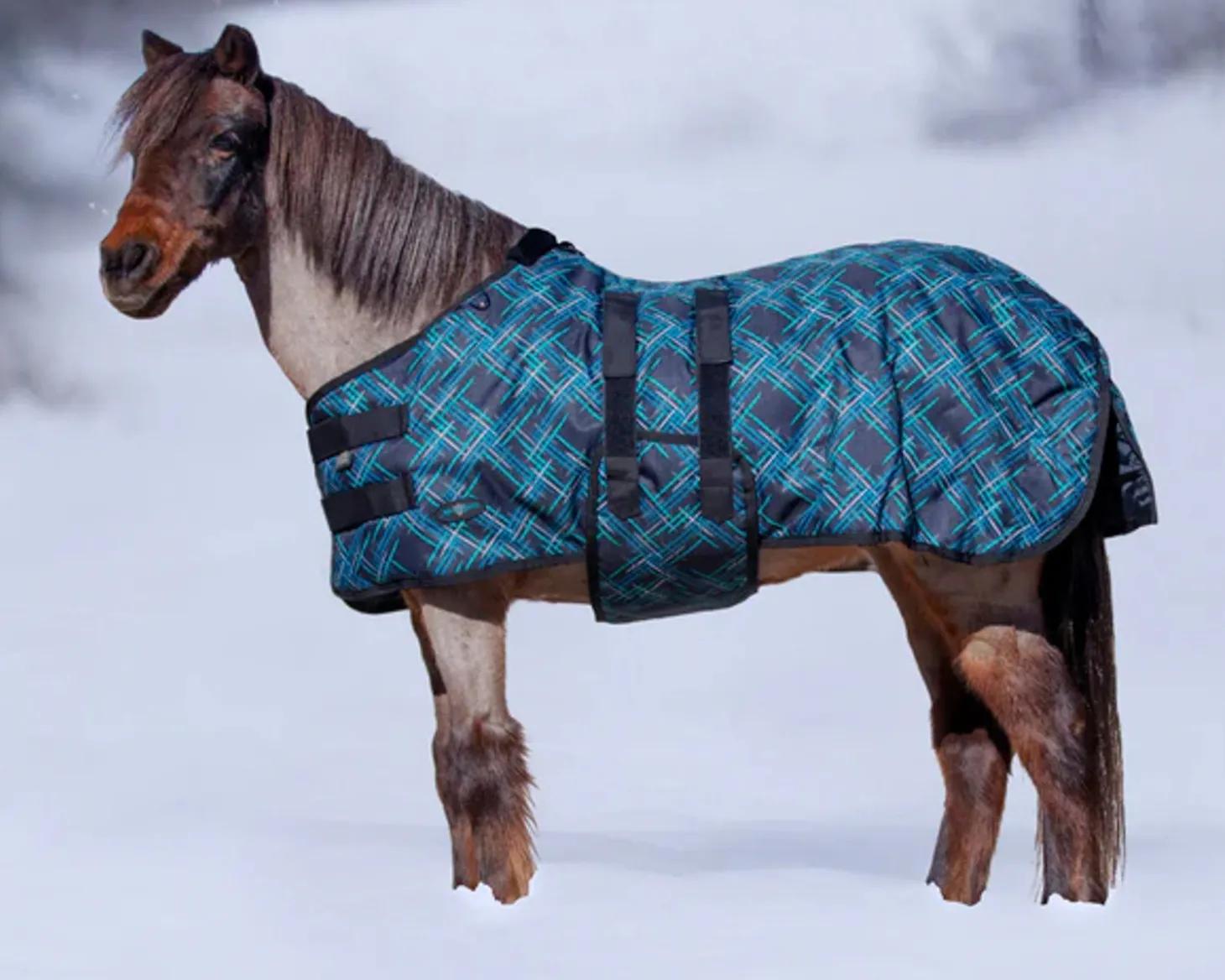 Kensington™ Signature Mini Medium-Weight Turnout Blanket
