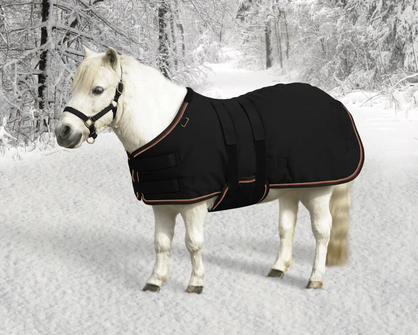 Kensington™ Signature Mini Medium-Weight Turnout Blanket