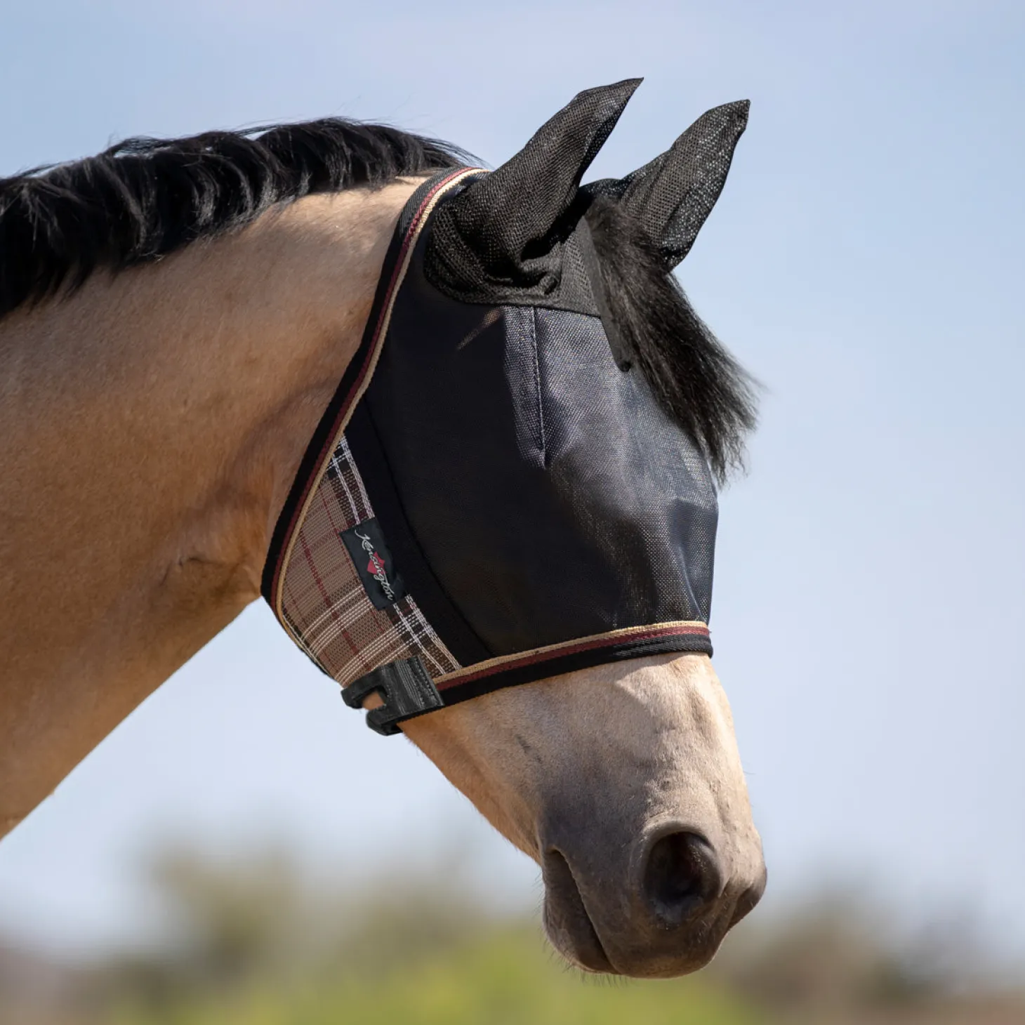 Kensington™ UViator CatchMask Protective Mask with Ears & Forelock Opening