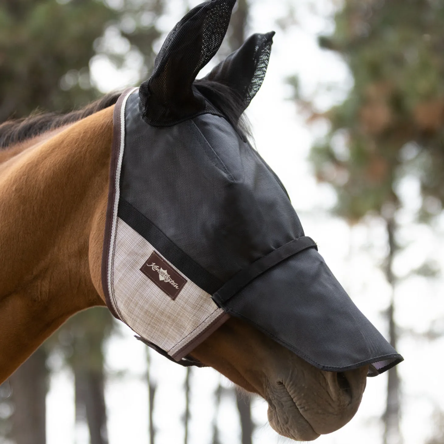 Kensington™ UViator CatchMask® with Ears, Removable Nose & Forelock Opening