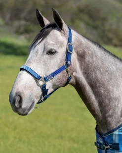Kensington™ Premium Halter