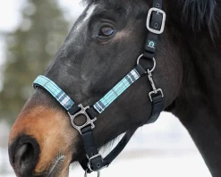 Kensington™ Premium Halter